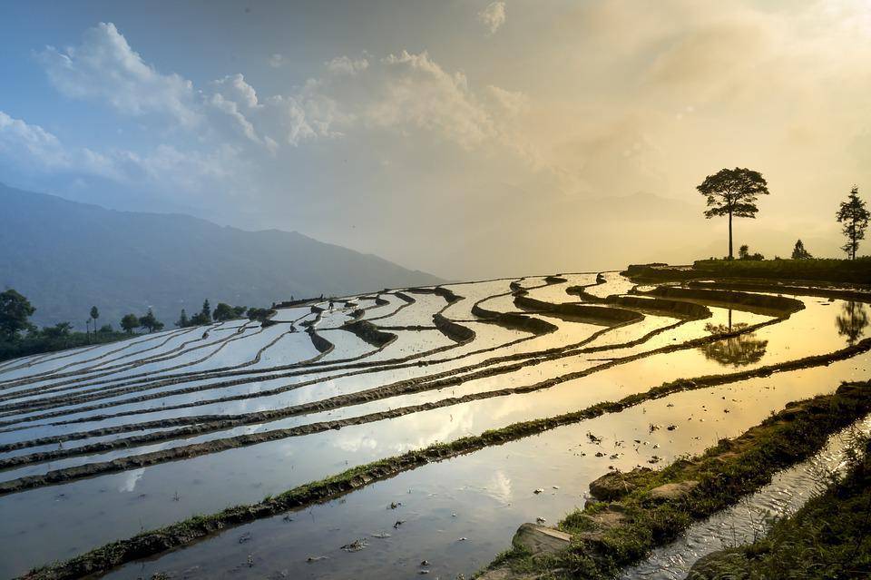 国内生态旅游的发展历程_生态旅游发展历史_国内生态旅游发展历程