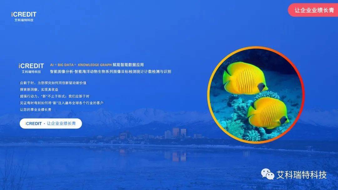 智能图像分析-智能服饰软呢帽图像目标检测统计计数检测与识别-艾科瑞特科技