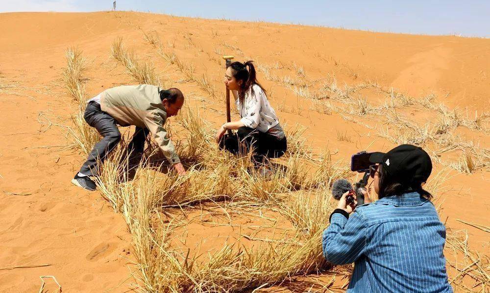 麦草方格固沙是谁发明的?到底是中国人,还是苏联专家?