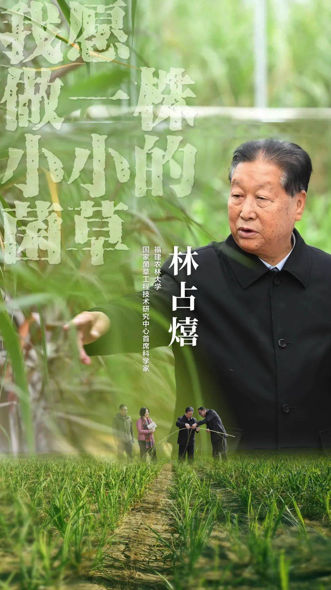 "时代楷模"林占熺_林占_楷模_时代