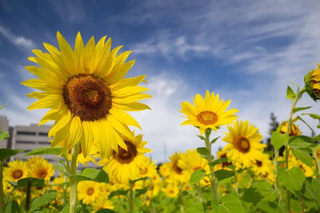 2022中国企业500强发布，家电行业又变天了！-家电圈官网