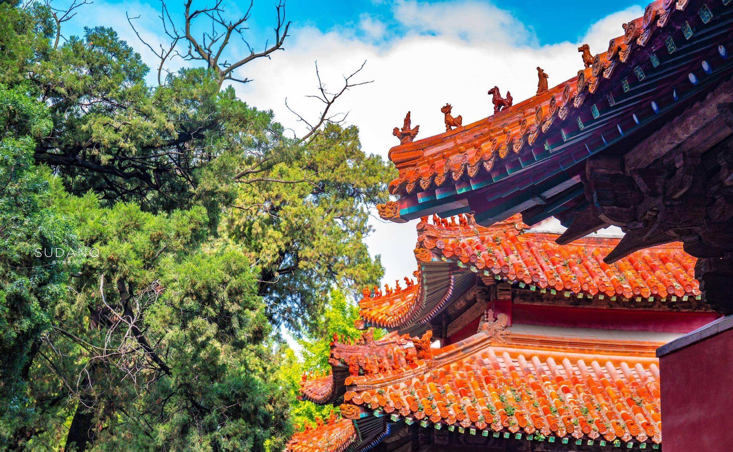 它是中国三大古建筑群之一,四大文庙之一,已有2400多年历史_孔庙_曲阜