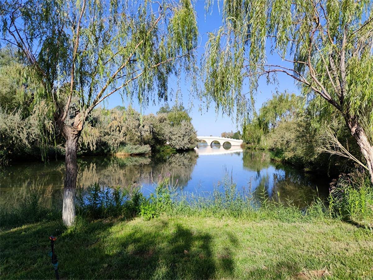 高台湿地公园图片