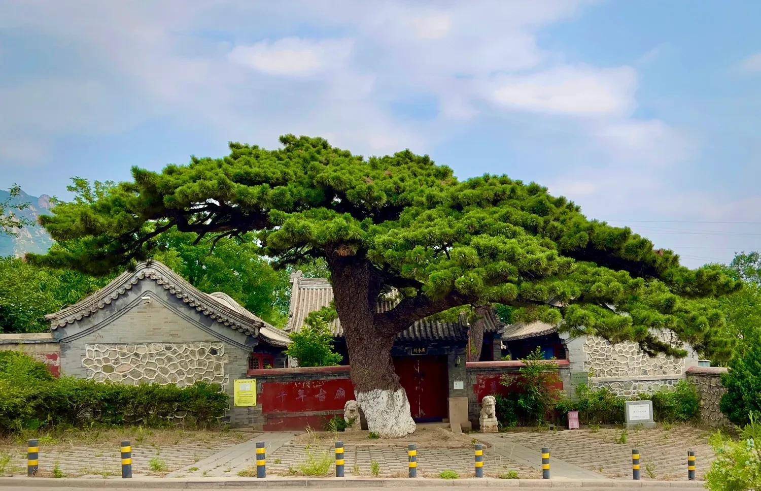 从车耳营到凤凰岭,穿越一千六百年_油松_关帝庙_历史