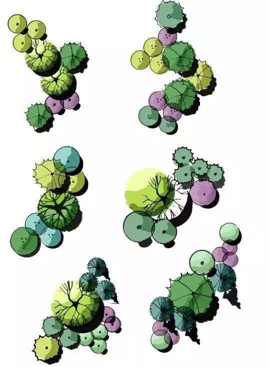 绿化植物组合搭配秘籍_灌木_配置_乔木