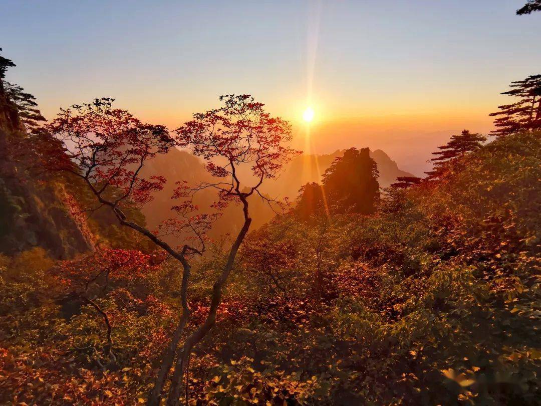 秋高氣爽 登高遠眺黃山爛漫秋色_山景_許永傑_姚建軍