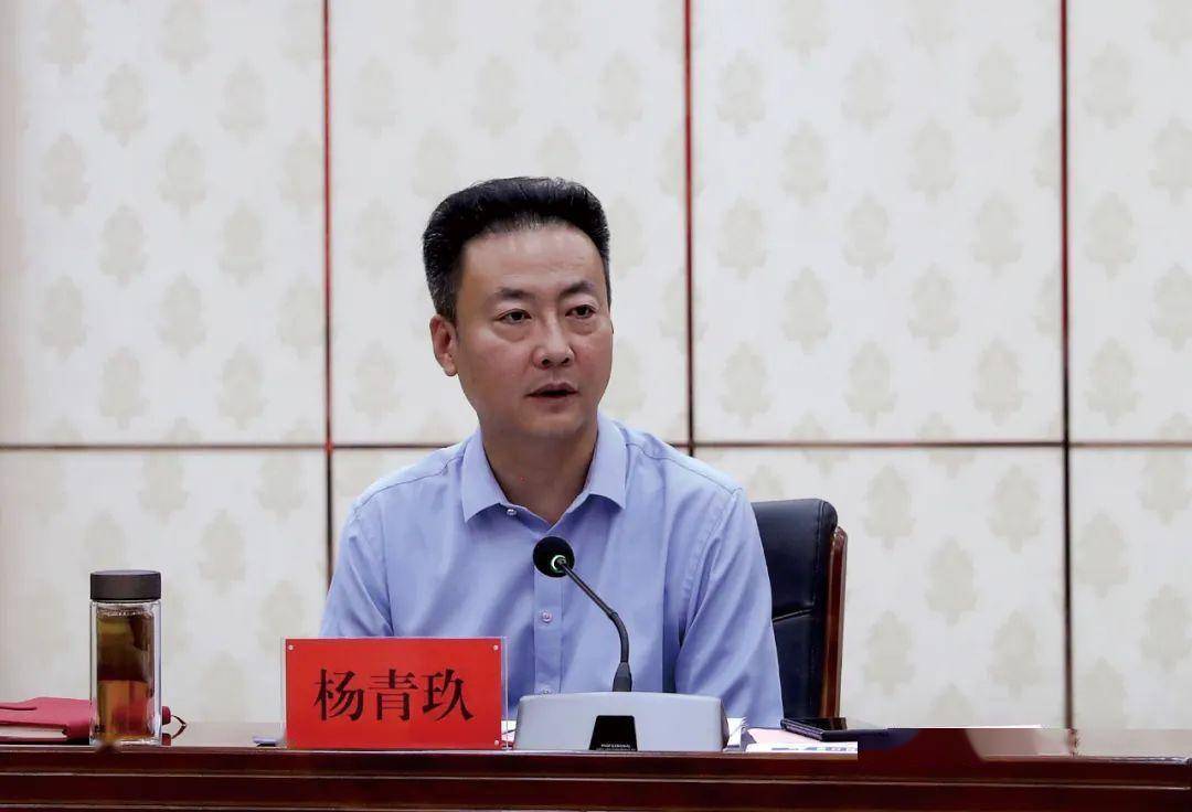 市委书记杨青玖作重要讲话市委书记杨青玖对援非队员给予充分肯定.