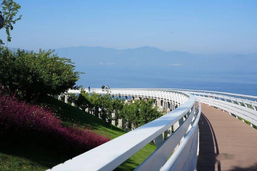 澄江网红景点图片