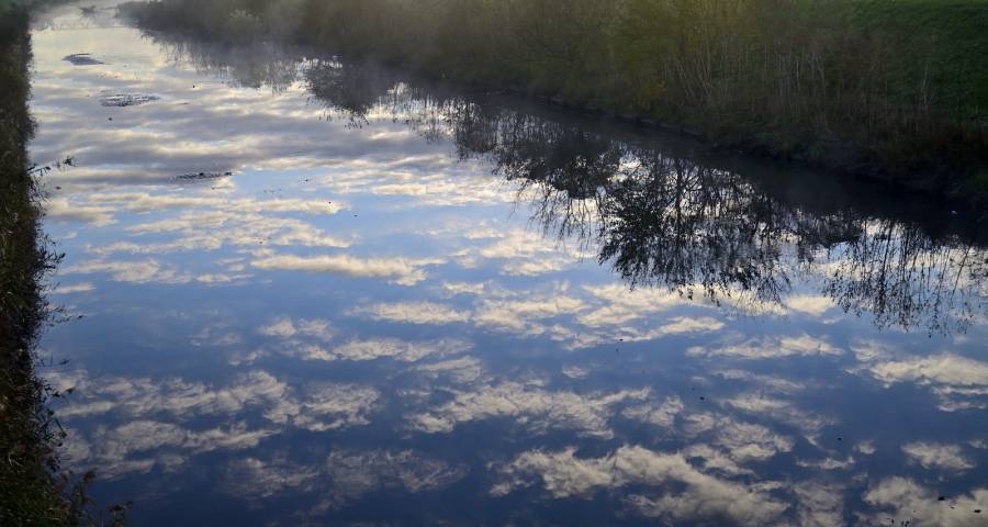 今年四季度家电市场或迎一轮消费复苏-家电圈官网