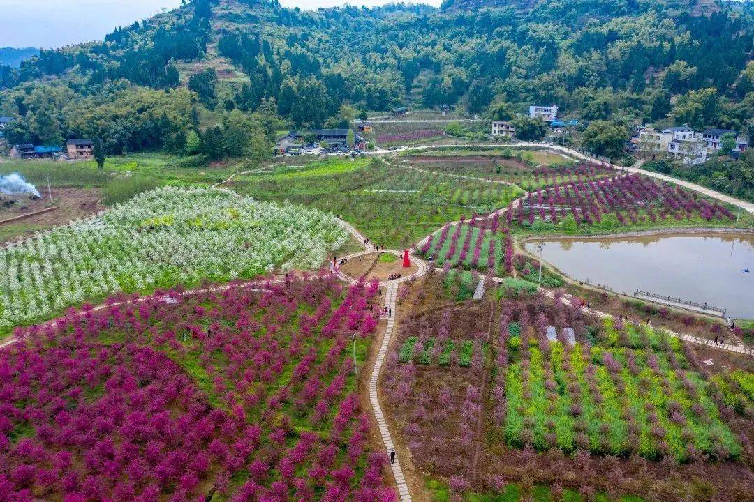 重庆大足棠香街道图片