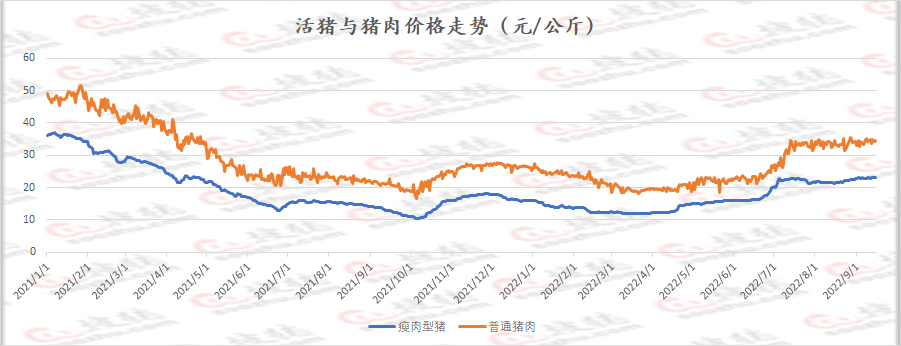 正常情况下,毛(毛猪)白(生猪白条)价格差在8-10元/公斤是比较合理的