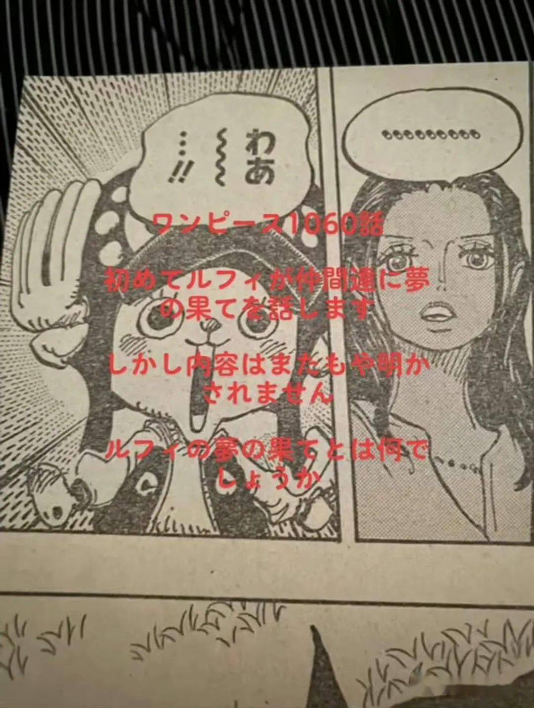 海贼王 第1060话详细情报路飞的梦想与掌握灭国兵器天王的伊姆大人