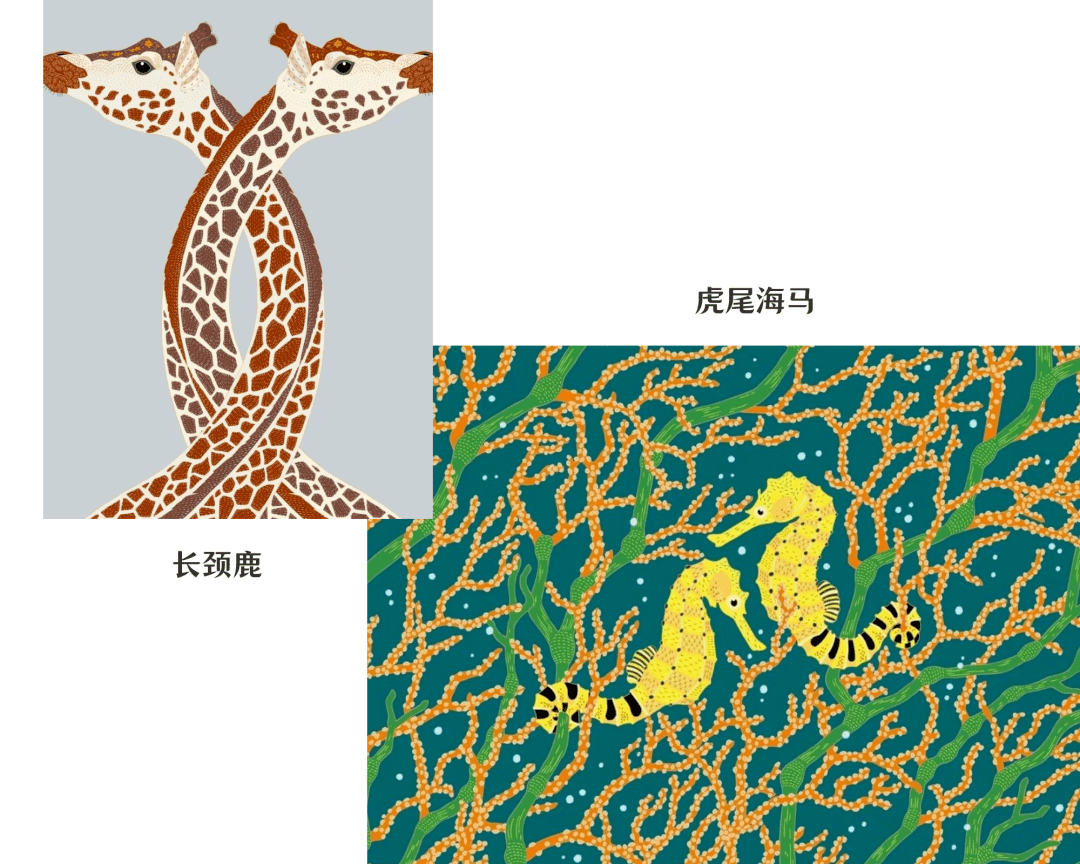 雌雄难辨的曲纹唇鱼感情专一的虎尾海马,钟爱旅行的勺嘴鹬,芳踪