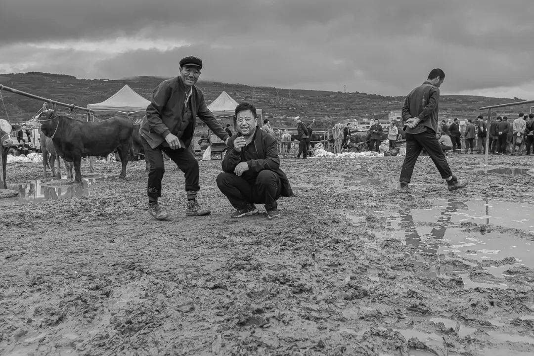 【人文紀實】津門網宇雪:牛馬交易市場_陝西省_攝影_作品