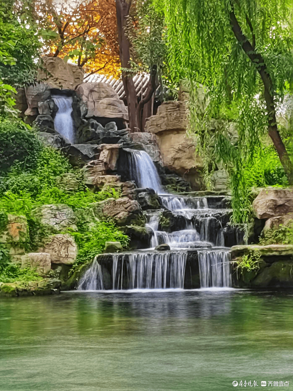 濟南趵突泉公園泉水如絲,宛若仙境_情報員_齊魯_盧紅