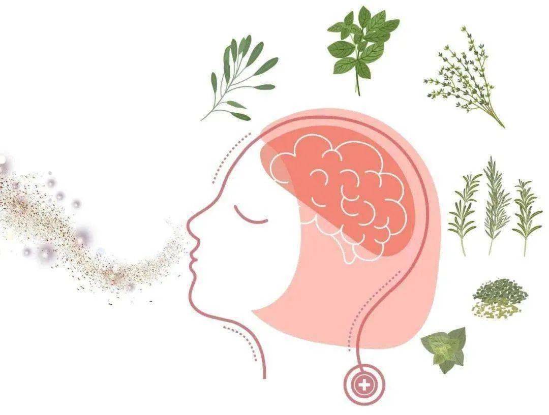 嗅觉失灵了,还能恢复吗?_障碍_鼻腔_治疗