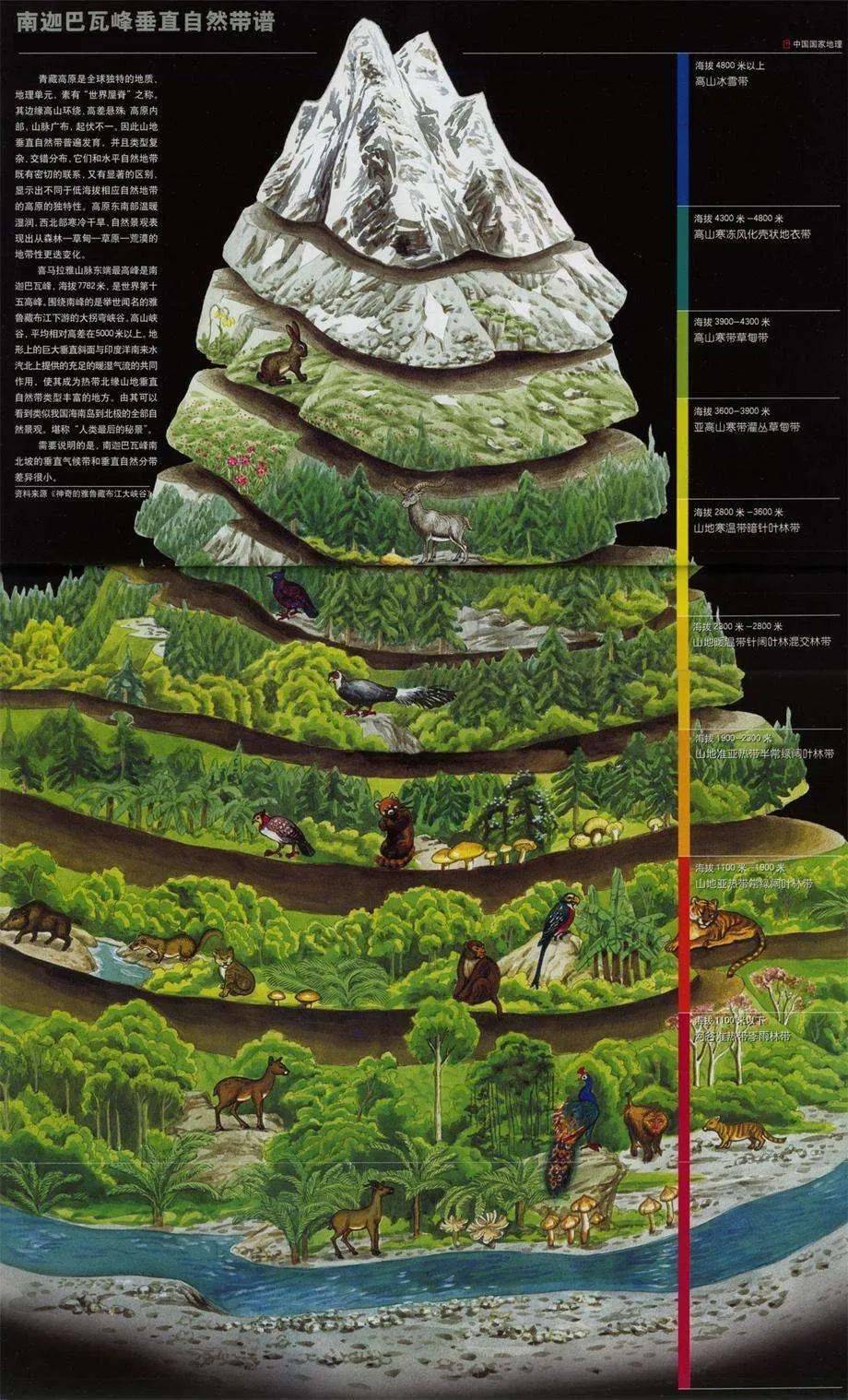 20座山脉的垂直自然带谱,总结全了!_雪线_影响_纬度