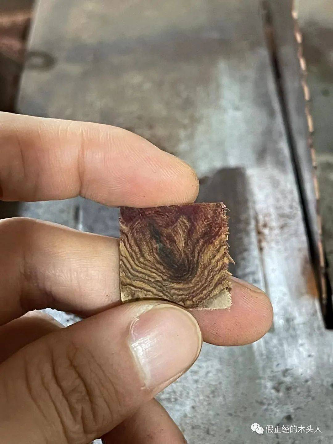 越南/海南黄花梨在紫光灯下的荧光反应及胶磨认知_胶水_质感_绿色