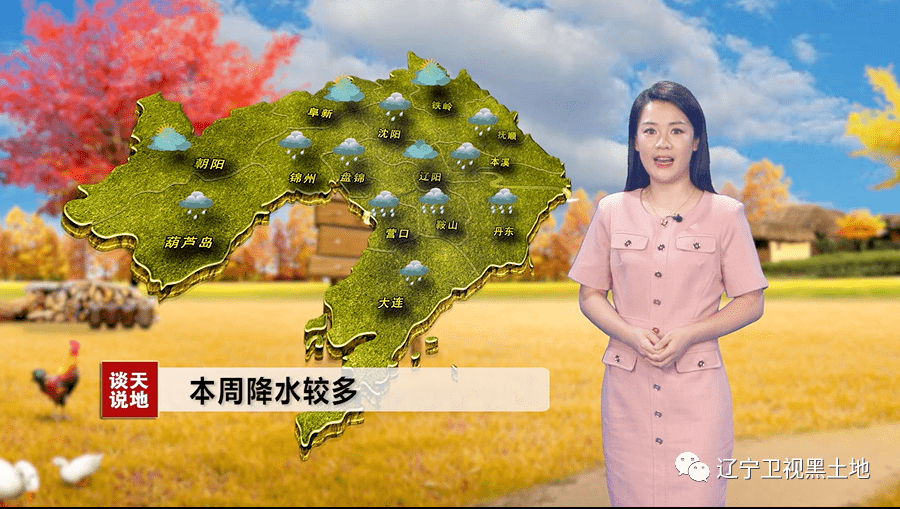 福鼎24小时天气预报今日情况