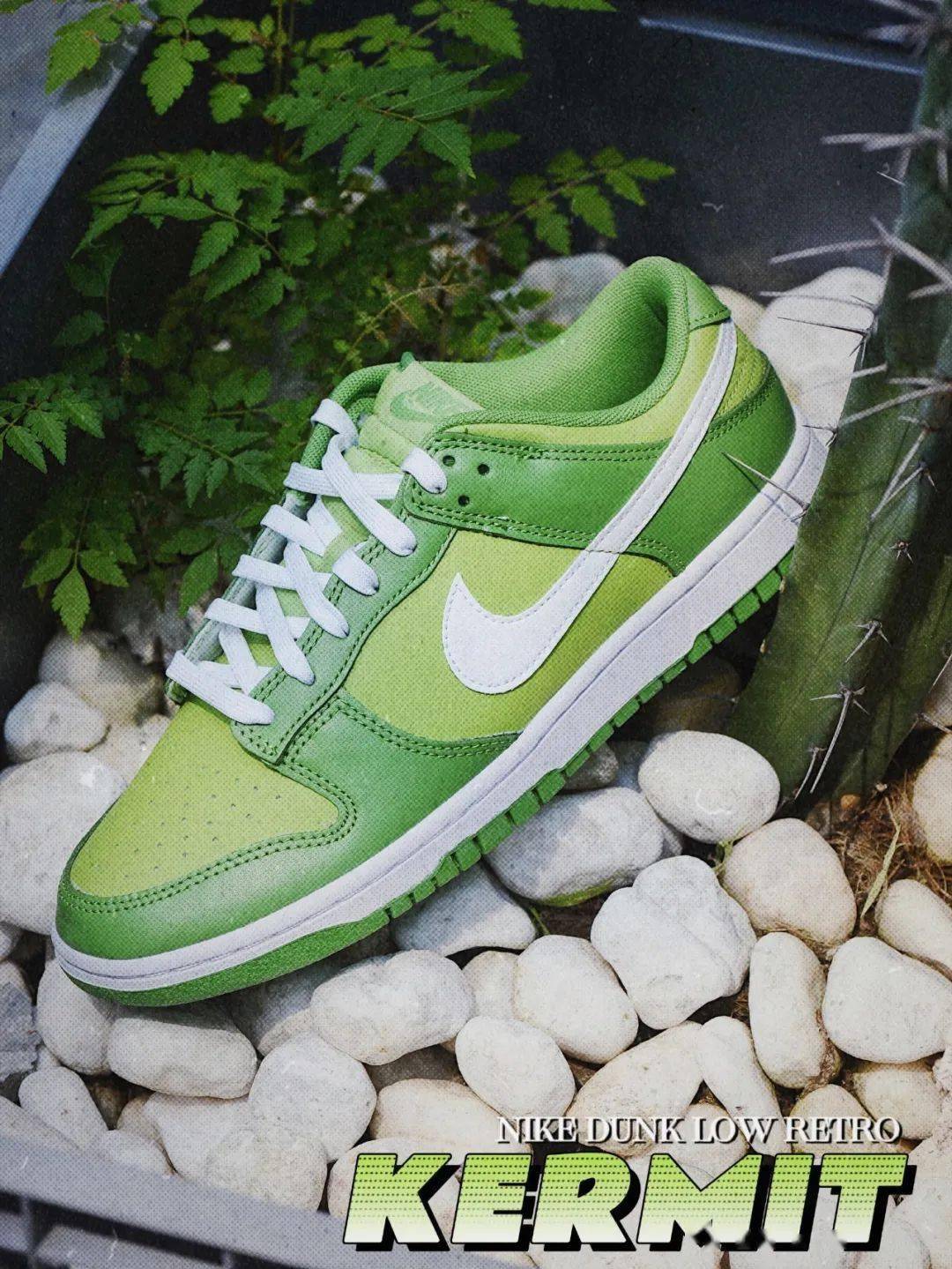 SOAR 新品预览｜NIKE DUNK LOW RETRO “KERMIT”_手机搜狐网