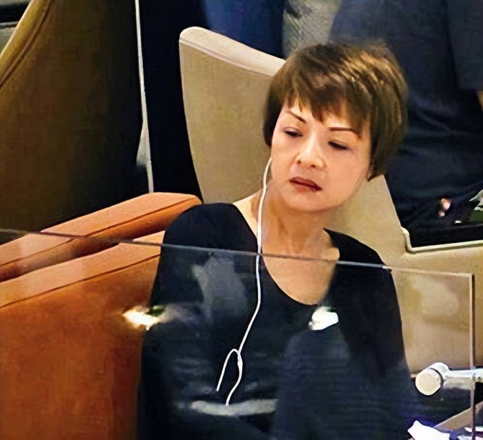 艳星叶子楣:一生未婚无儿无女,56岁年老色衰活成了这样_蔡澜_胸脯