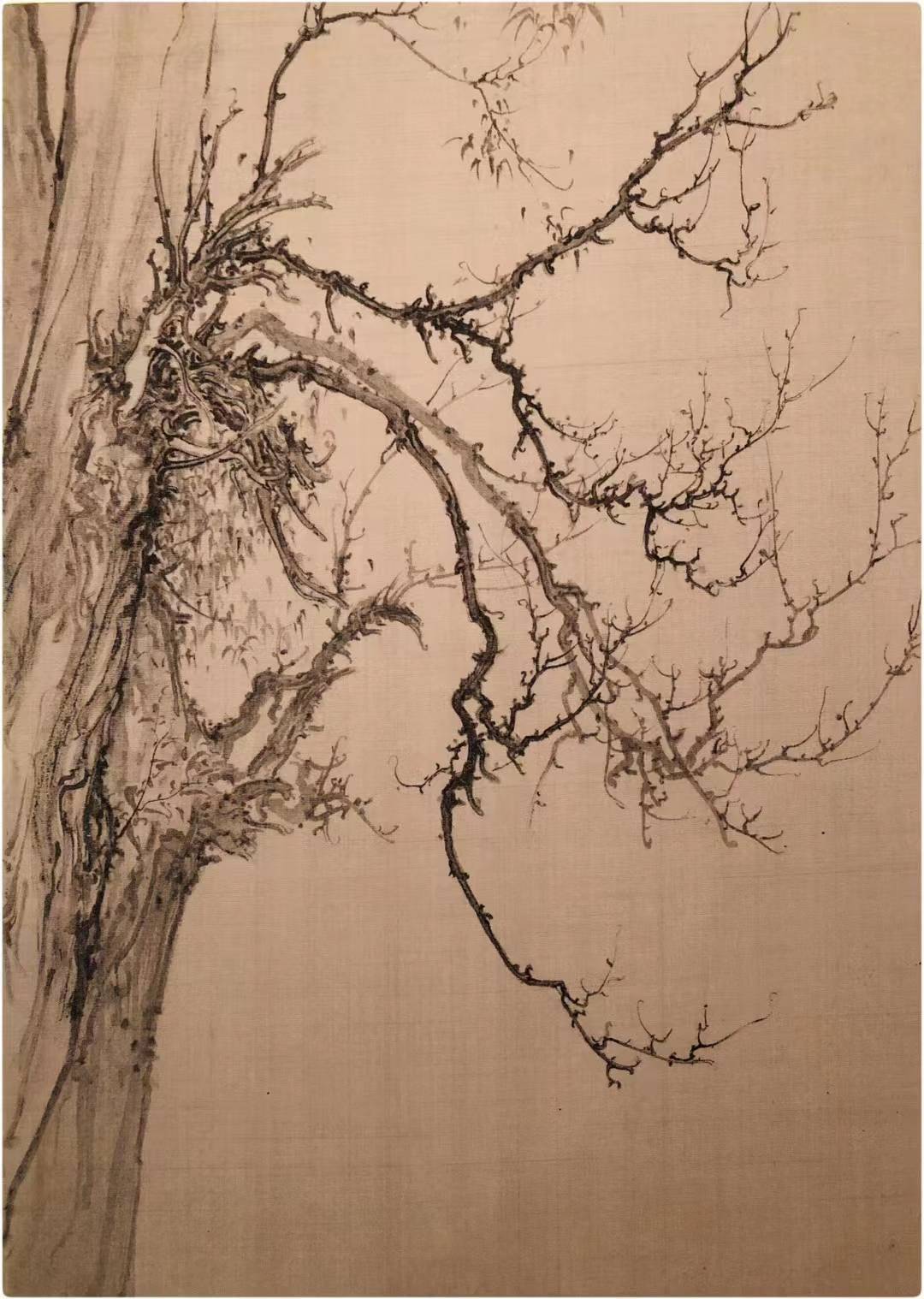 行走山河——2022范治斌大青山写生作品欣赏