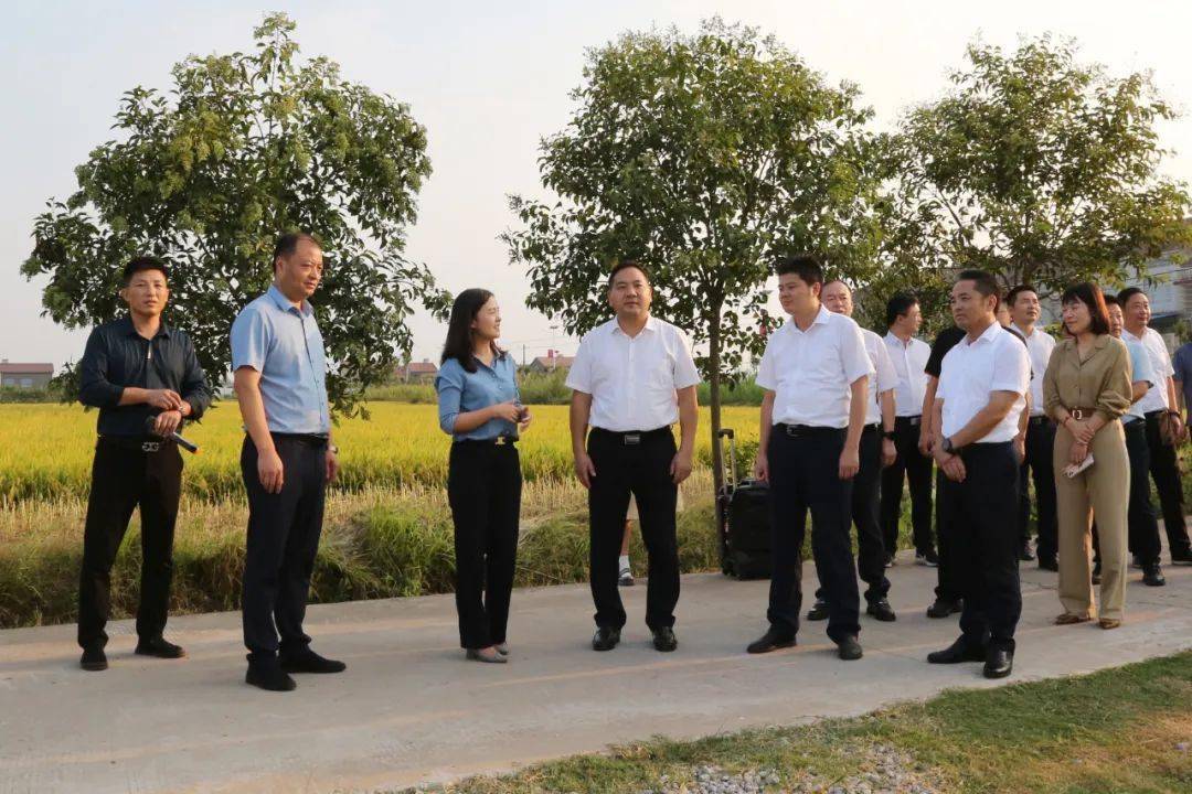 资市镇玉古村市领导覃文忠,唐敦浩,张宗阳,周凯,王权武,姜东,刘艳