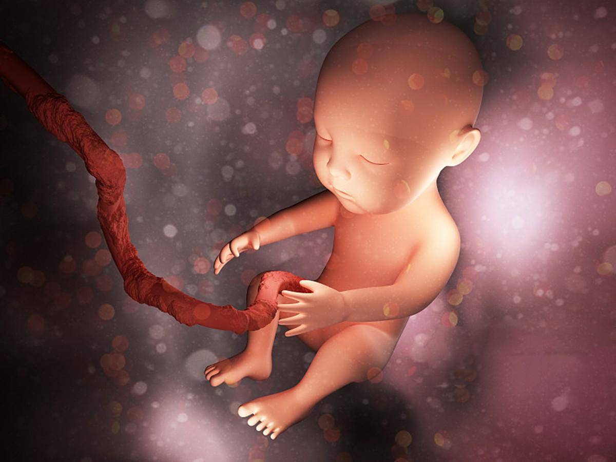 孕早期孕吐反应突然消失是不是胎停？胎停育的原因可能和这几方面有关,孕妈