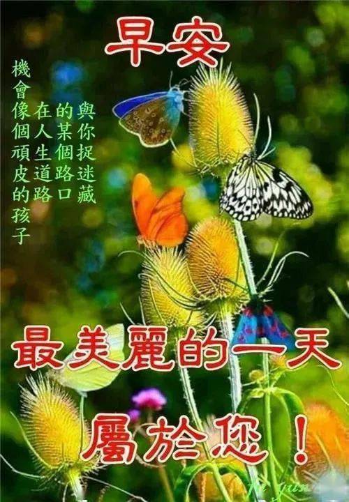 图片大全祝福 最美图片