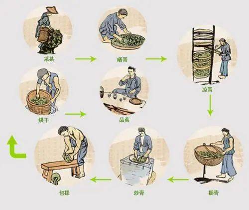 蒙茶茶词典——青茶篇(一)_释义_工序_qing