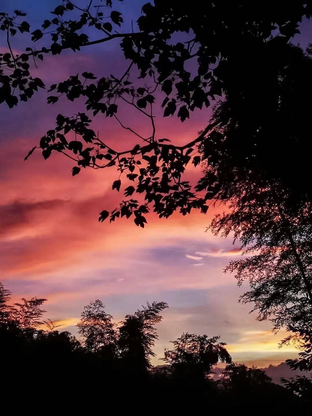 稻田,水库,青山,晚霞,秋天被这个唯美的小村承包了!
