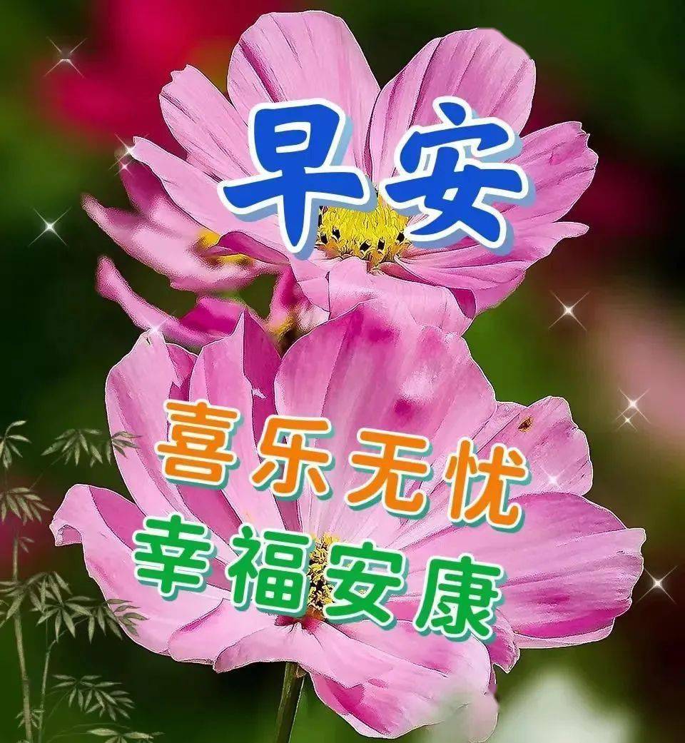 9月19日最新早上好祝福动态表情图片大全,秋天早安问候语句子!