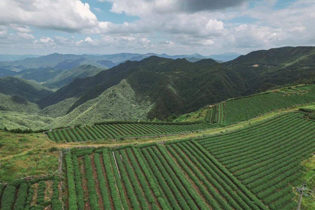 临海兰田山图片