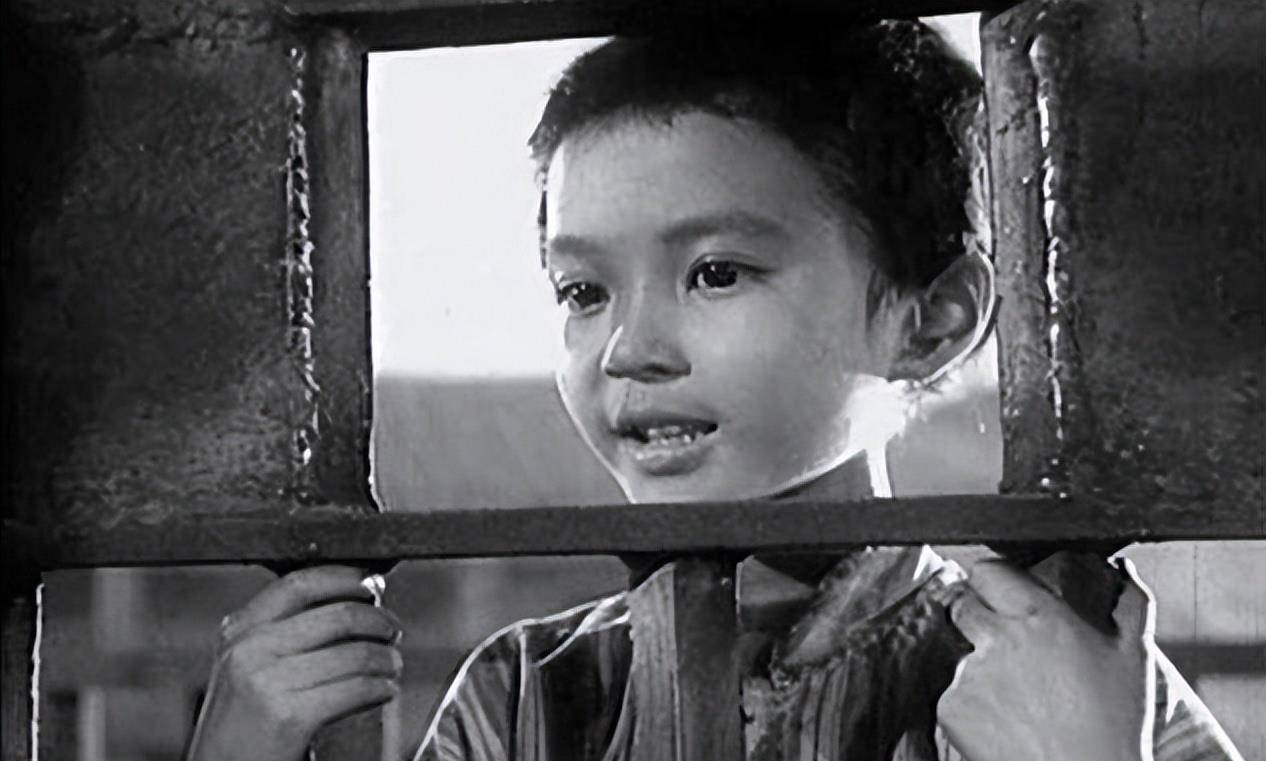 参与杀害杨虎城将军的刽子手居然能得享高龄_儿子_小萝卜头_老蒋