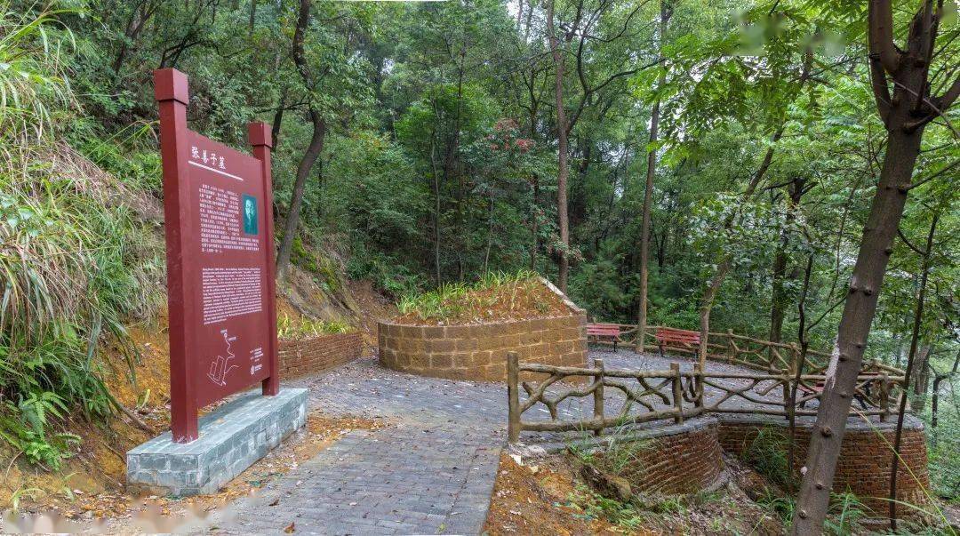 【史迹寻踪】寻找张善子墓和墓修缮的前前后后‖汪毅