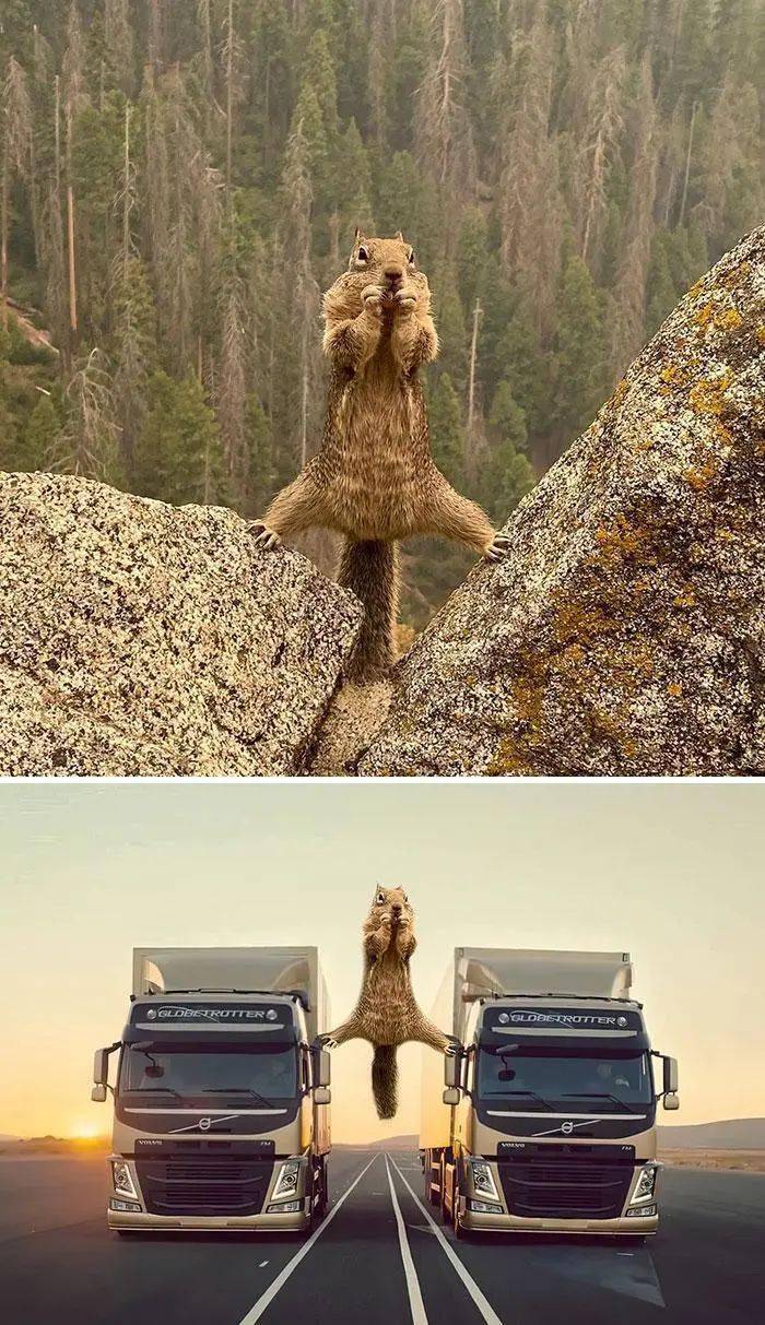 拯救不开心,这16幅趣味p图,让人笑得好大声_处理_图片_创意