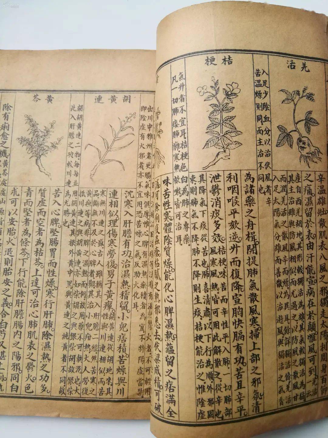 葛根汤_气血_麻黄