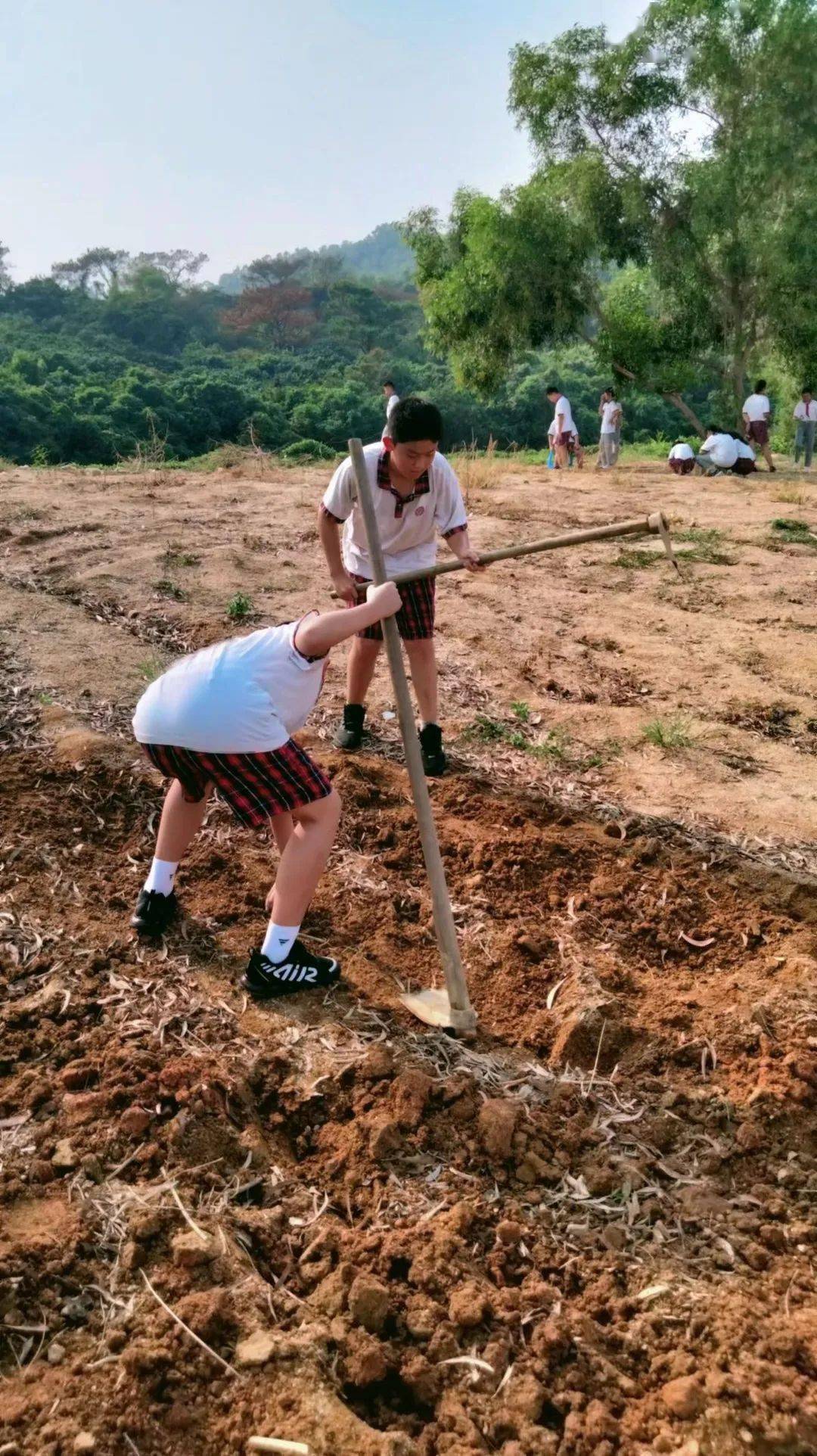 【青鸟北附】劳动——探索世界的密码