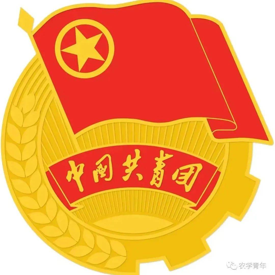 青春团学|团委部门介绍_活动_社团_工作
