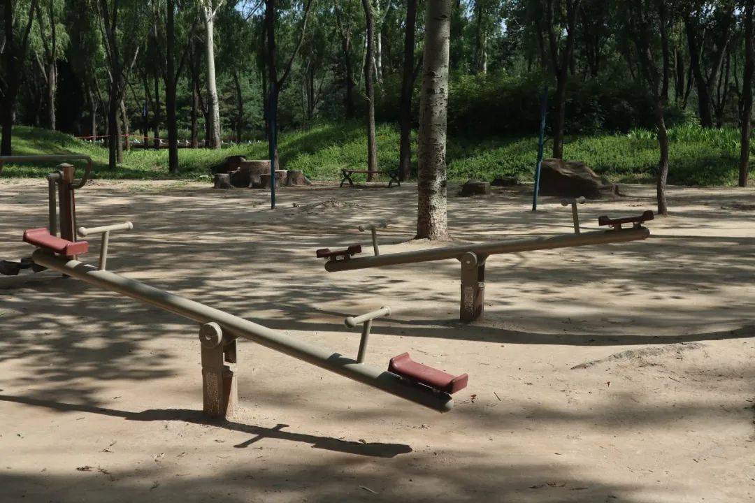 週末去太原森林公園半日遊_百鳥園_碰碰車_秋景