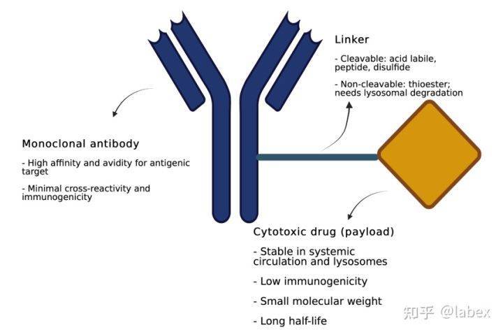 药物研发体外实验之细胞表面抗原数量测定水平labex组织 