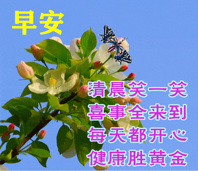 早上好动画图片带祝福语 最美早安问候图片鲜花带字_永健康_少让_人生