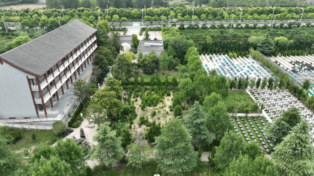 临泉单桥园林公墓公告!_临泉县_祭祀_环境