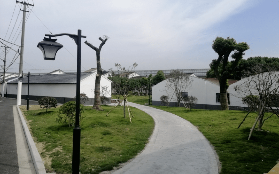 泗门网站建设_(泗门镇2021年建设)