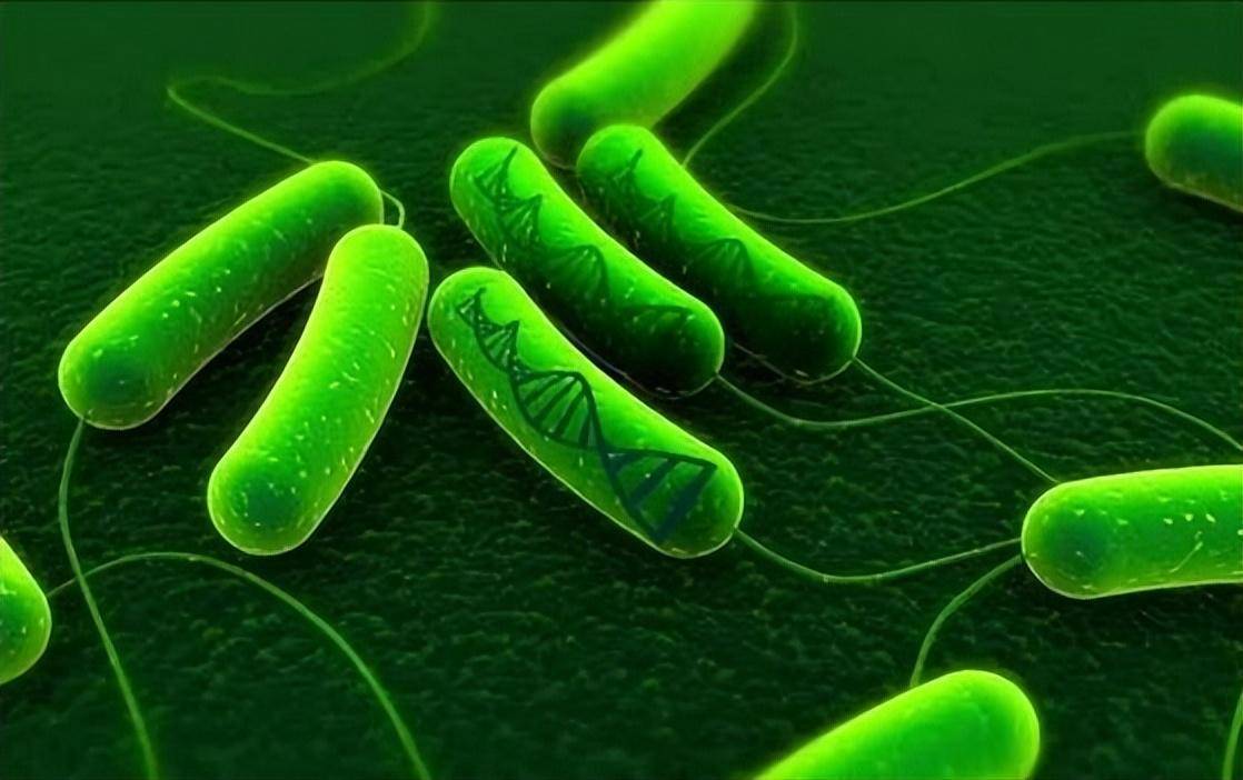 科普｜新冠进化、猴痘又现，这些病原微生物你了解吗？_细菌_病毒_种类