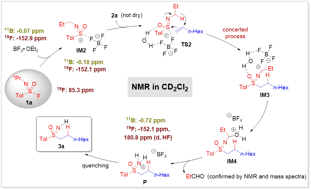 发展了一种未活化烯烃和氟代砜亚胺的c