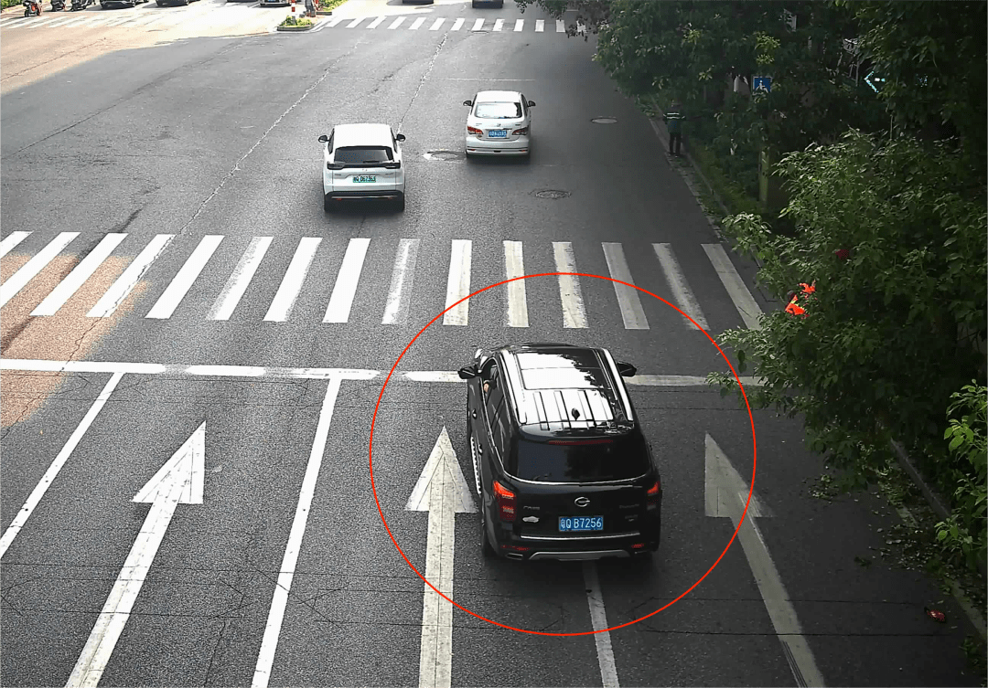 阳江又一批车牌曝光!有你认识的吗?_违法_交通_机动车