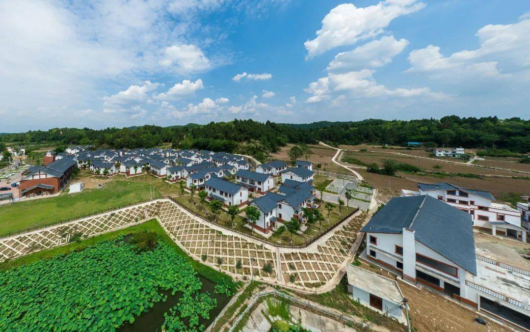 简阳"丰"景,太美了!_建设_农业_粮油