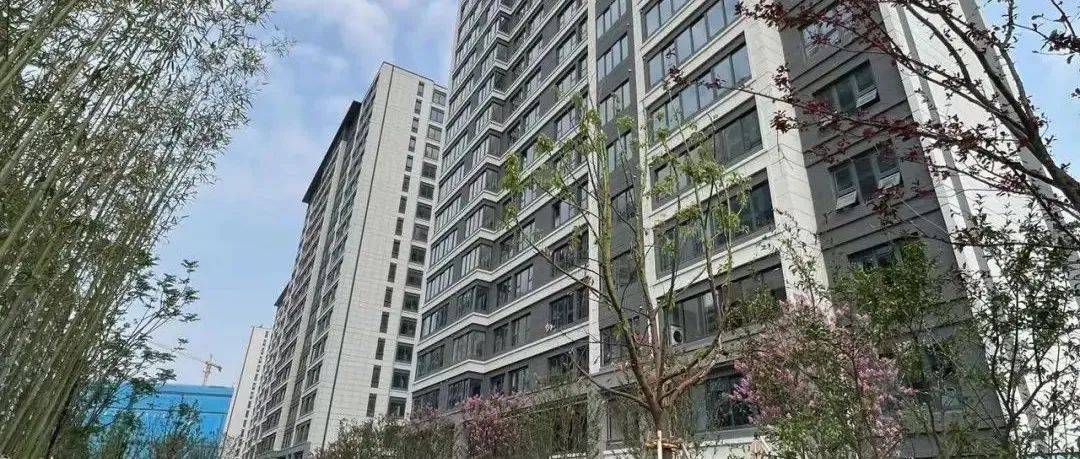 直击!江核低密盘公开实景示范区,总价300万起!南部新城独栋新盘案名曝光_项目_保利阅_潮鸣