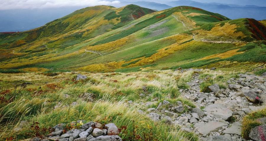 家电企业拓展前装渠道，先得学会“在鸡蛋壳上雕花”-家电圈官网